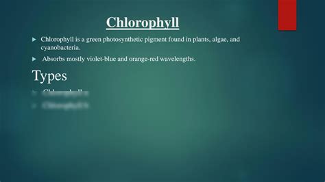 SOLUTION: Photosynthesis calvin cycle - Studypool