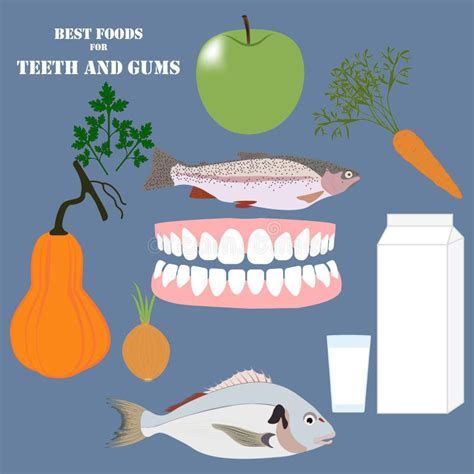 Best Foods And Bad Foods For Your Teeth Stock Vector Illustration Of