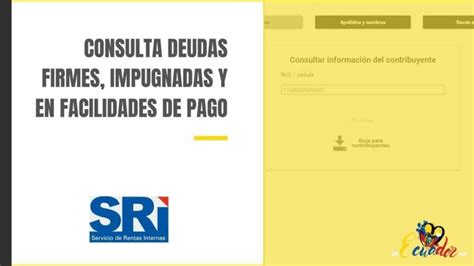 ⭐️ Guía Para Hacer La Consulta De Deudas En El Sri En Línea Paso A