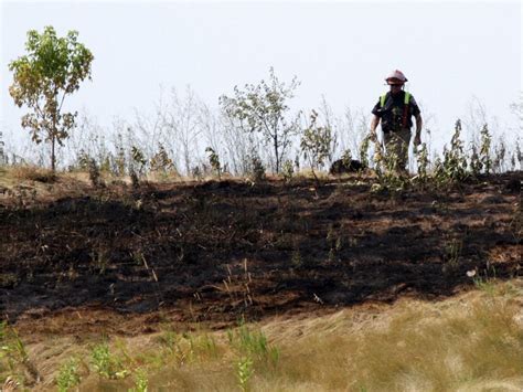 Open Air Fire Ban In Effect Again For City Of Ottawa Ottawa Citizen