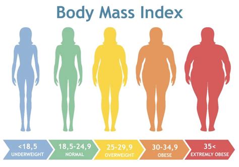 Il calcolo del BMI cos è e come si calcola Santagostino Magazine