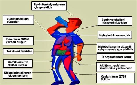 Biyolojisitesi net Yaşam Bilimi Biyoloji Canlıların Temel Bileşenleri