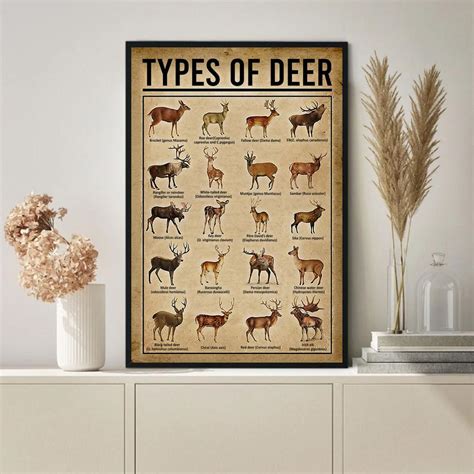 Type Of Deer Poster Knowledge Poster Vintage Poster Wall Art Home Decor