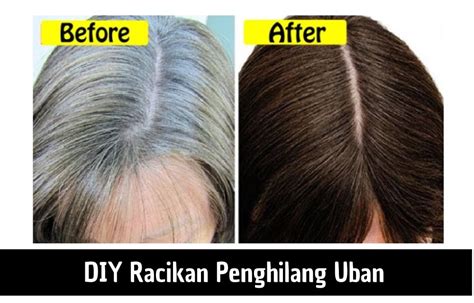 DIY Racikan Penghilang Uban Cukup Pakai 1 Daun Ini Rambut Putih