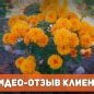 Биостимулятор нового поколения "KORNEVIN ULTRA" (Корневин Ультра) ТМ ...