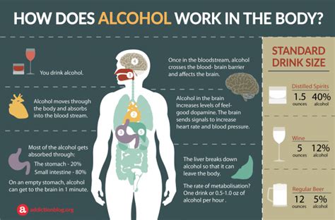 How Does Alcohol Affect The Body Infographics Healthy Food Near Me