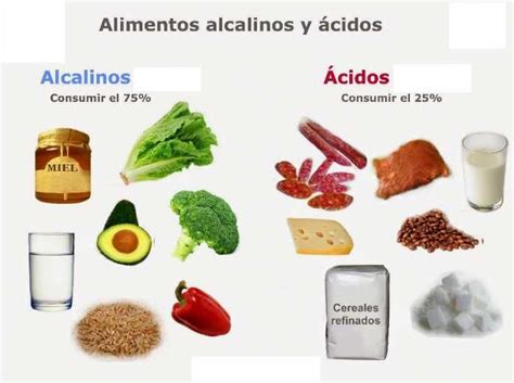 Alimentos Acidos Y Alcalinos Los Alimentos Productores De ácidos