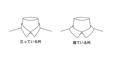 Vol 6 衿の切替はなぜ必要？ 玉置の仕事場