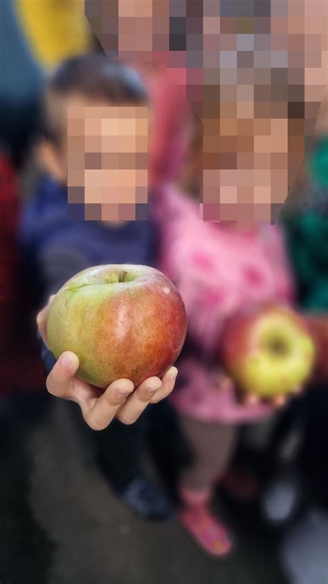 Светски дан здраве хране | ПУ ”Радосно детињство” Нови Сад