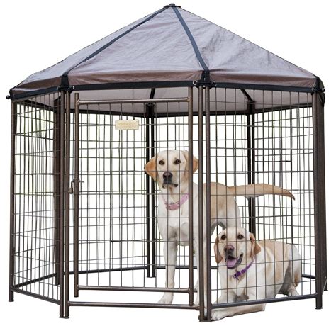 Outdoor Dog Kennels and Crates (January 2021 Review) | Dogsrecommend