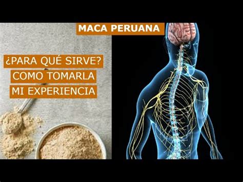 Cuanto Tiempo Tarda En Hacer Efecto La Maca Andina Sugest Es