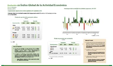 Igae Indicador Global De La Actividad Econ Mica Del Mes De Diciembre