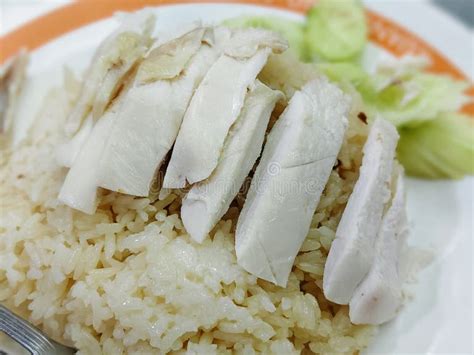 hainanese chicken rice stock photo image  closeup
