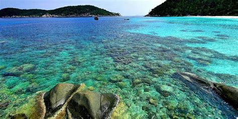 Keindahan Bawah Laut Di Taman Wisata Perairan Anambas