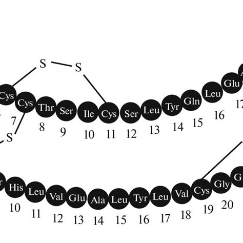 The chemical structure of insulin [8]. | Download Scientific Diagram