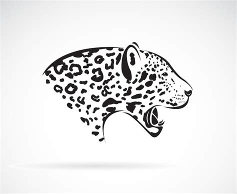 Vetor De Um Leopardo Em Fundo Branco Animais Selvagens Ilustra O Em