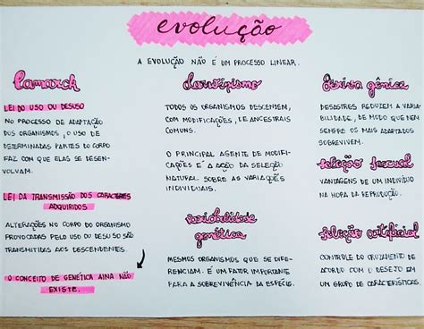 Darwinismo Social Mapa Mental - MAPA MENTAL SOBRE EVOLUÇÃO - STUDY MAPS | Darwinismo, Evolução, Resumos ...