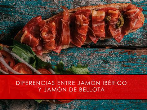 Diferencias Entre Jam N Ib Rico Y Jam N De Bellota La Casa Del Jam N