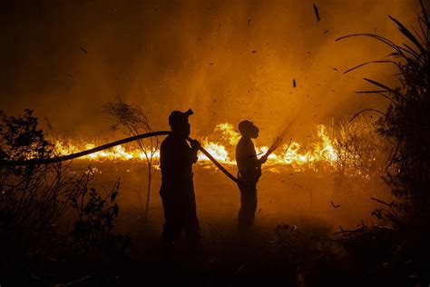 Massive 90 Acre Wildfire Continues To Burn North Carolina Mountai