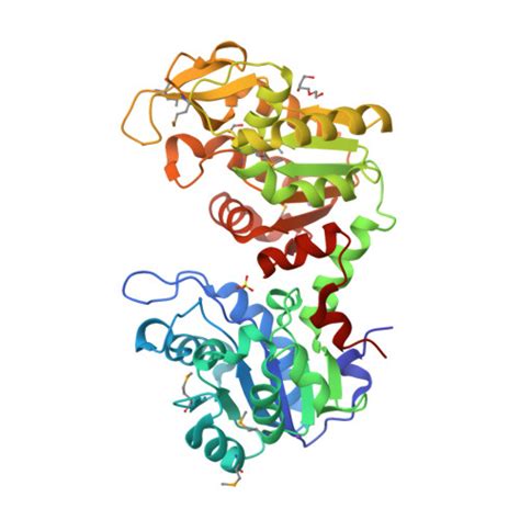 Rcsb Pdb 3q3v Crystal Structure Of Phosphoglycerate Kinase From Campylobacter Jejuni