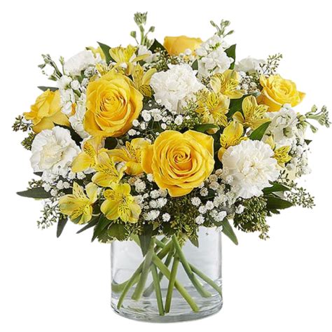 Yellow Sunshine - Standard