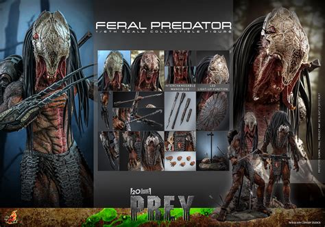 Feral Predator Sixth Scale Figure By Hot Toys Sideshow Collectibles