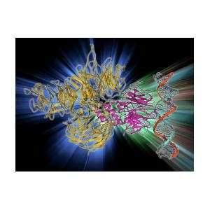 Uv Damaged Dna Binding Protein And Dna Photograph By Laguna Design