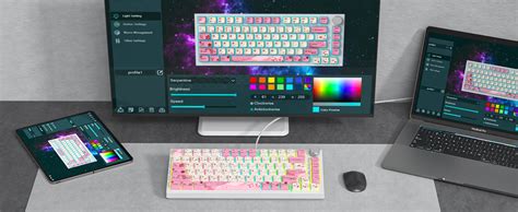 Amazon Mosptnspg Tkl Wired Mechanical Keyboard Rgb Backlit Gasket Mount Key Hot