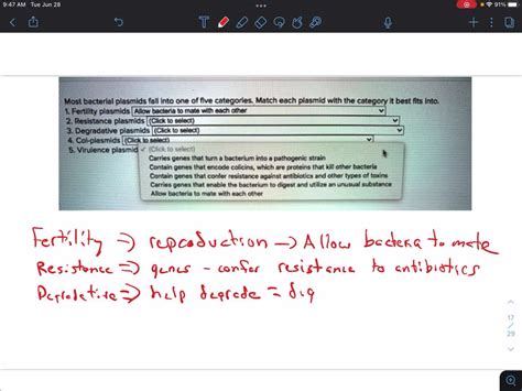 SOLVED: Place the labels in the correct columns Fertility plasmids R ...