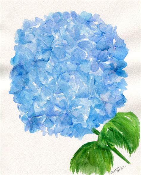 Original Blue Hydrangea Painting 8 X 10 Watercolor Painting Etsy