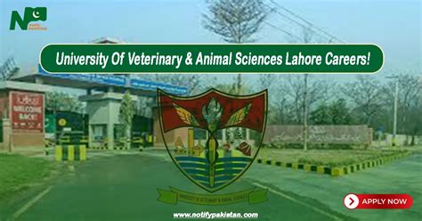 University Of Veterinary And Animal Sciences Lahore Uvas Jobs 2024