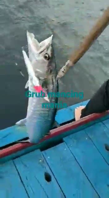 Spot Jigging Ikan Tenggiri Mancing Mania YouTube