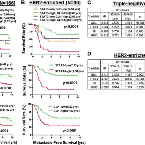 Breast Cancer Cell Lines And Xenografts Co Overexpress P STAT3 Y705