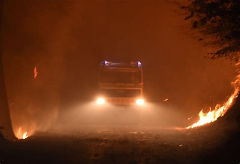 Incendi Distrutti Dalle Fiamme Quasi Ettari Di Bosco Allerta Nel