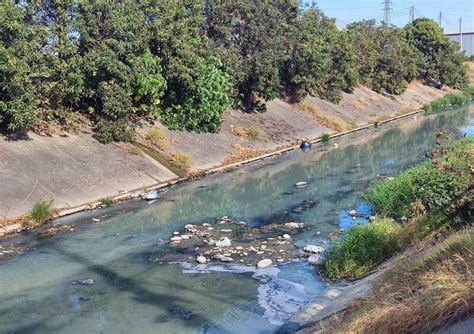 高雄大寮河川變色 市府揪養豬場偷排廢水 最重可罰2千萬 生活 自由時報電子報