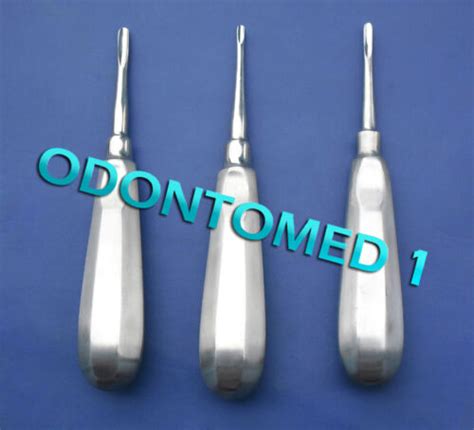 3 Pcs Straight Dental Surgery Apical Root Tip Elevators 34 34s 301