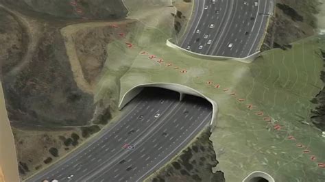 Official design revealed for wildlife crossing over 101 Freeway to save ...