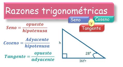 Razones Trigonom Tricas Caracter Sticas Y Funciones