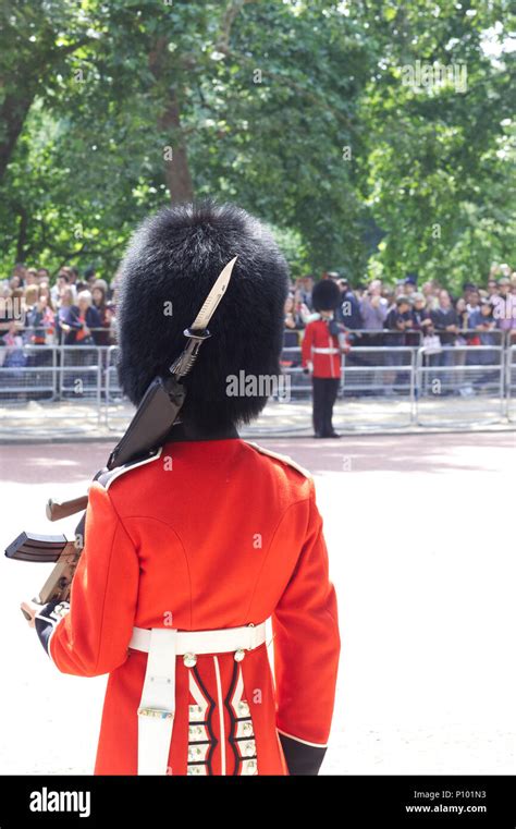 st battalion irish guards stock photo alamy