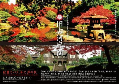 旧古河庭園「紅葉とバラ、和と洋の秋」11月12日（土）～12月4日（日）開催！｜紅葉情報2024