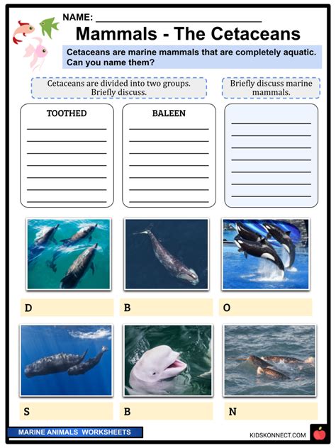 Marine Animals Facts And Worksheets Habitats Adaptations Diet