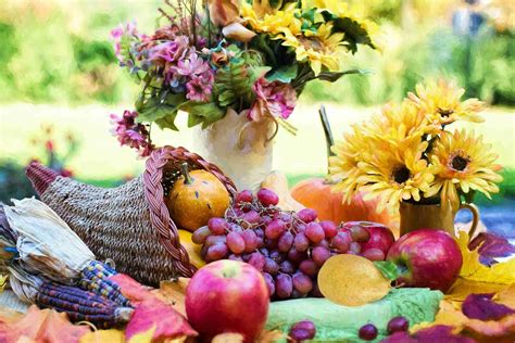 Fruit of the Loom Cornucopia and Other Mandela Effect Mysteries