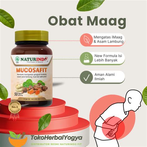 Obat Asam Lambung Dan Pencernaan Mucosafit Naturindo Lazada Indonesia