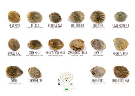 All Weed Types Chart