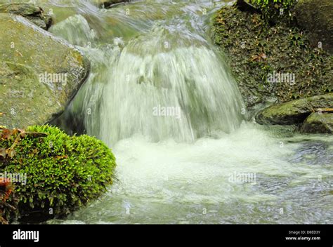 Small Waterfall On A Brook Stock Photo Alamy