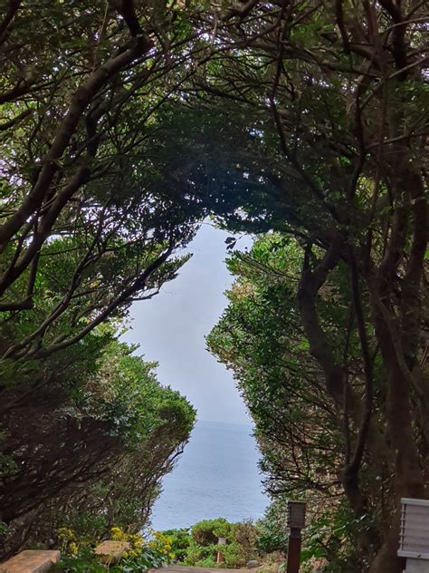 204 Best Jeju Island Images On Pholder Sololeveling Korea And Earth Porn