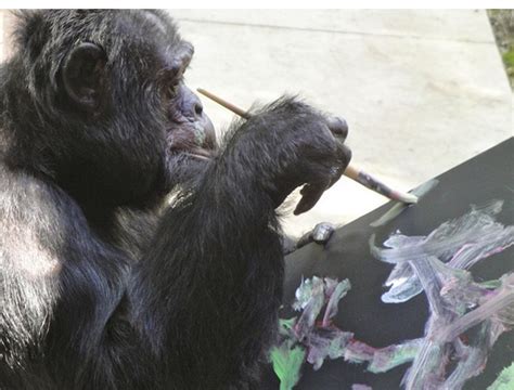 ape painting  paintingvalleycom explore collection  ape painting
