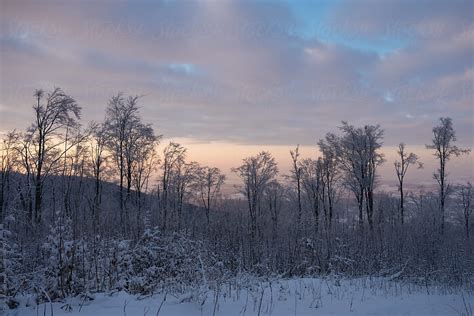 "Winter Woods Sunset" by Stocksy Contributor "Cosma Andrei" - Stocksy