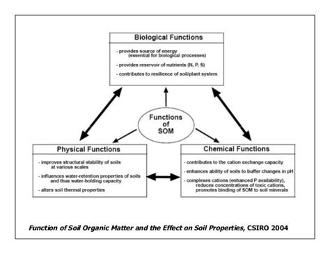 Managing Organic Matter for Soil Health and Fertility