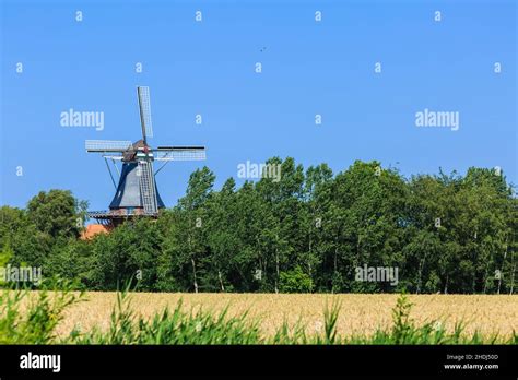 Windmill Gallery Dutch Windmills Stock Photo Alamy